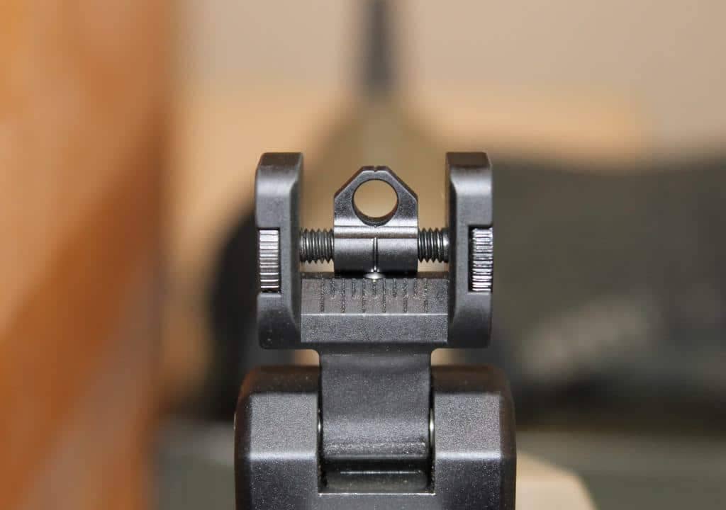 Best Backup Iron Sights (BUIS)