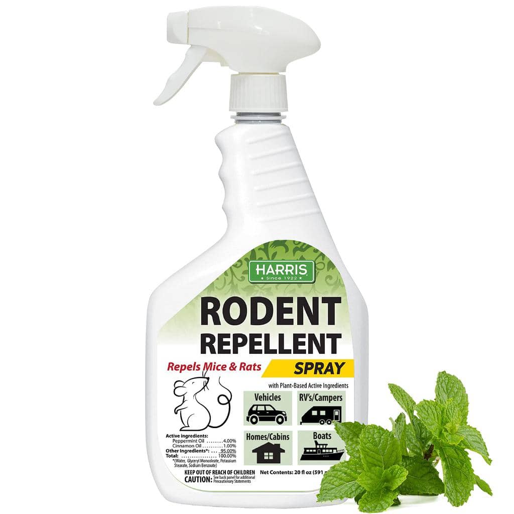 3 Ways To Use Peppermint Oil To Keep Mice Out Of Your Car