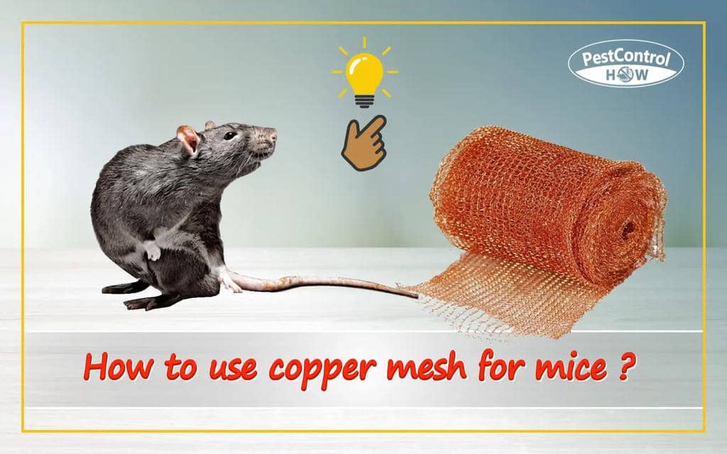 Using Copper Mesh To Keep Mice Away (And Why It Works)