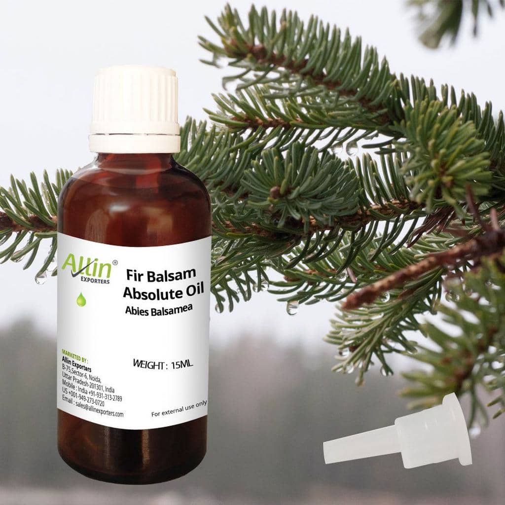 Keeping Mice Away From Your Car Using Balsam Fir Oil (Find out How)