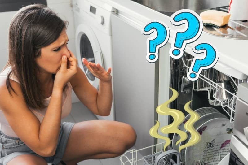 Dishwasher Smells Like Eggs: 6 Easy Ways To Fix The Problem