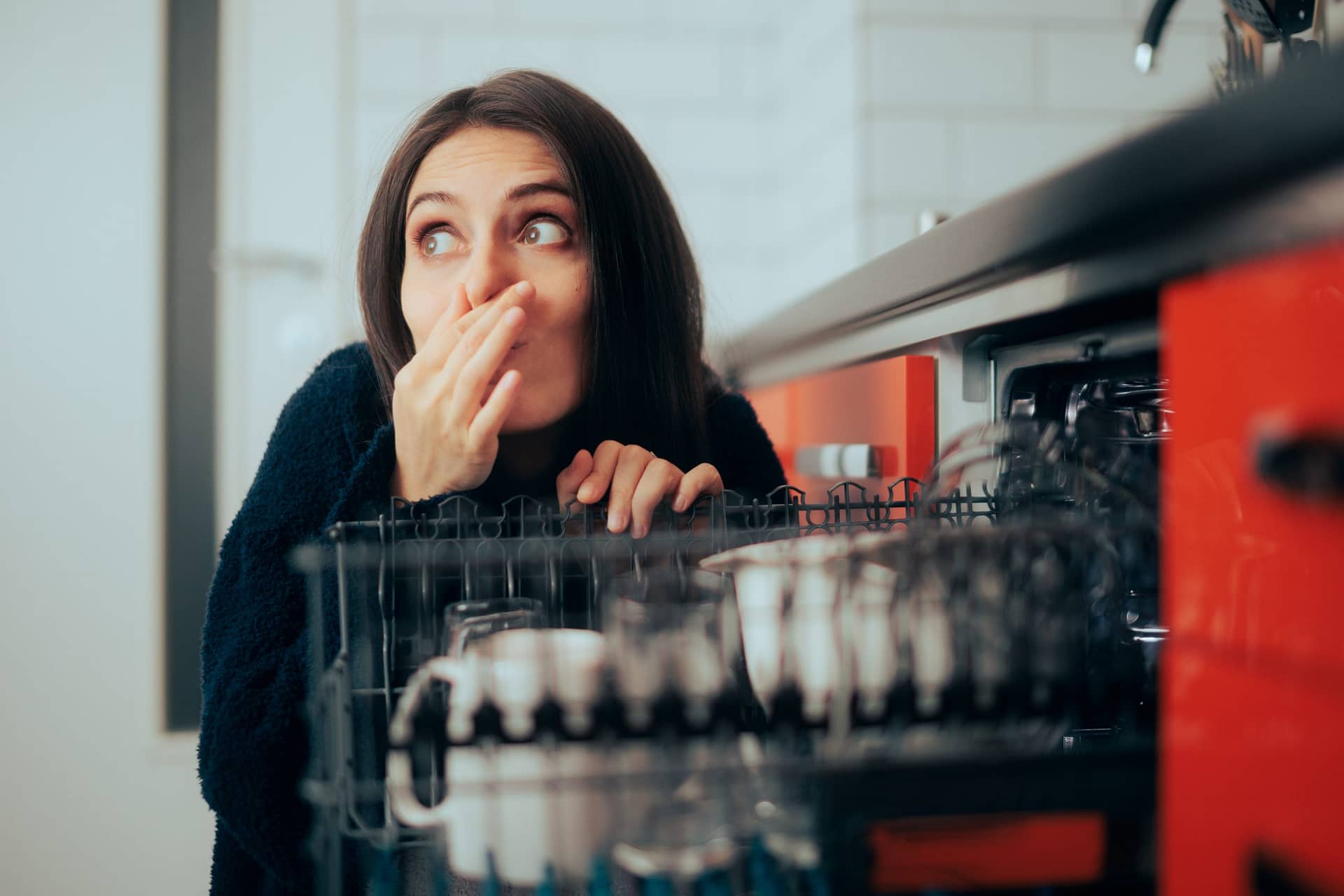 Dishwasher Smells Like Wet Dog: 5 Easy Ways To Fix It Now