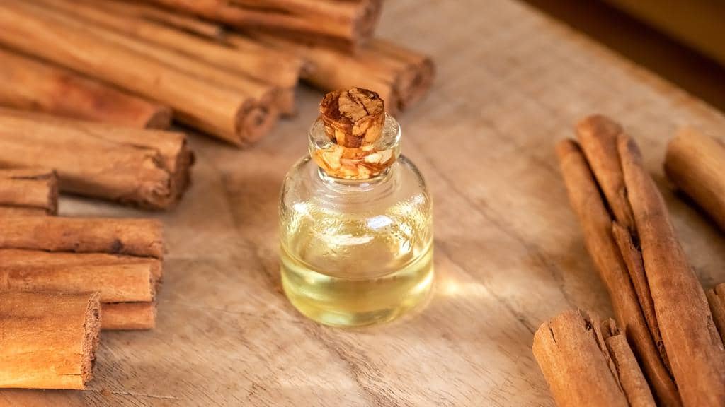How Cinnamon Oil Naturally Repels Mice (And Why!)