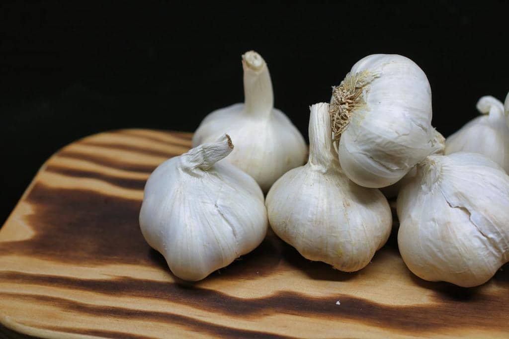 How To Use Garlic Plants To Keep Mice Away (And Why!)