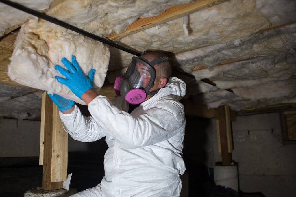 How To Use Spray Foam To Repel Mice (And Why It Works)