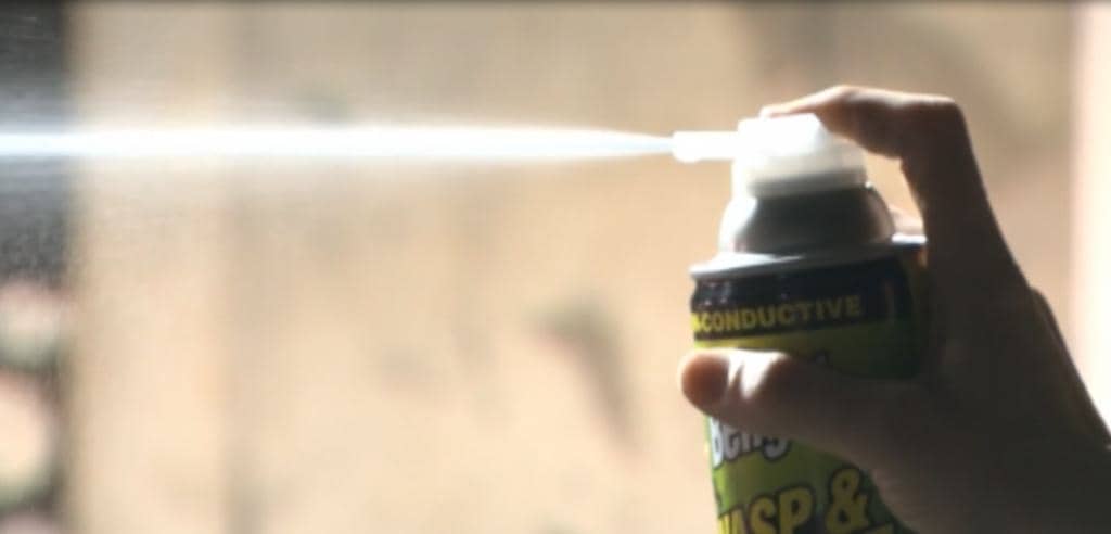 The Fascinating Reason Why Wasp Spray Works