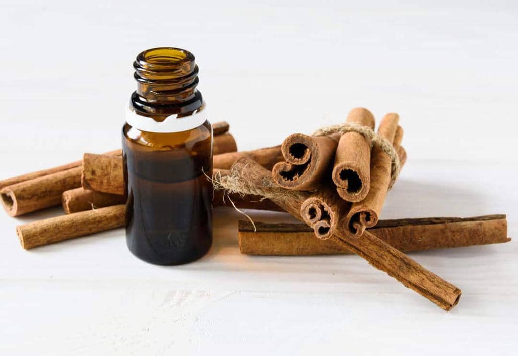 How To Use Cinnamon Essential Oil To Keep Mice Away