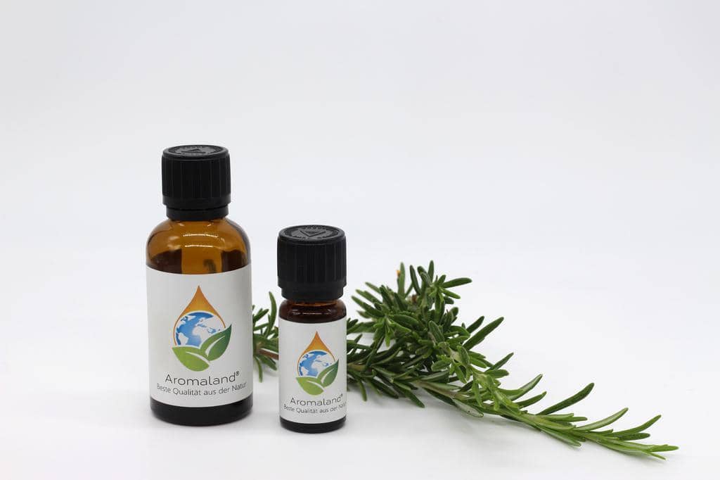 Rosemary Oil: How To Use It To Repel Mice