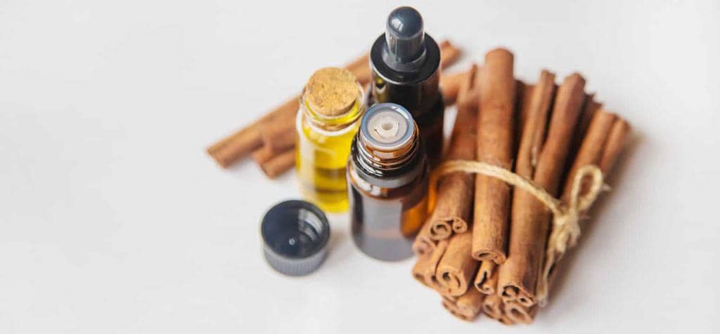 How To Keep Mice Away Using Cinnamon Oil (And Why It Works)
