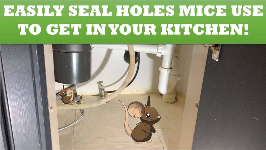 How To Naturally Mouse Proof Your Kitchen Cabinets