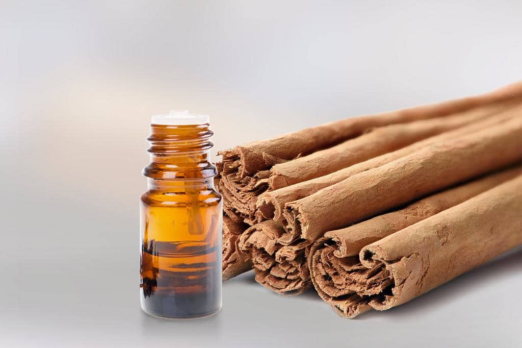 Cinnamon Oil: How To Use It To Repel Mice From Your Car