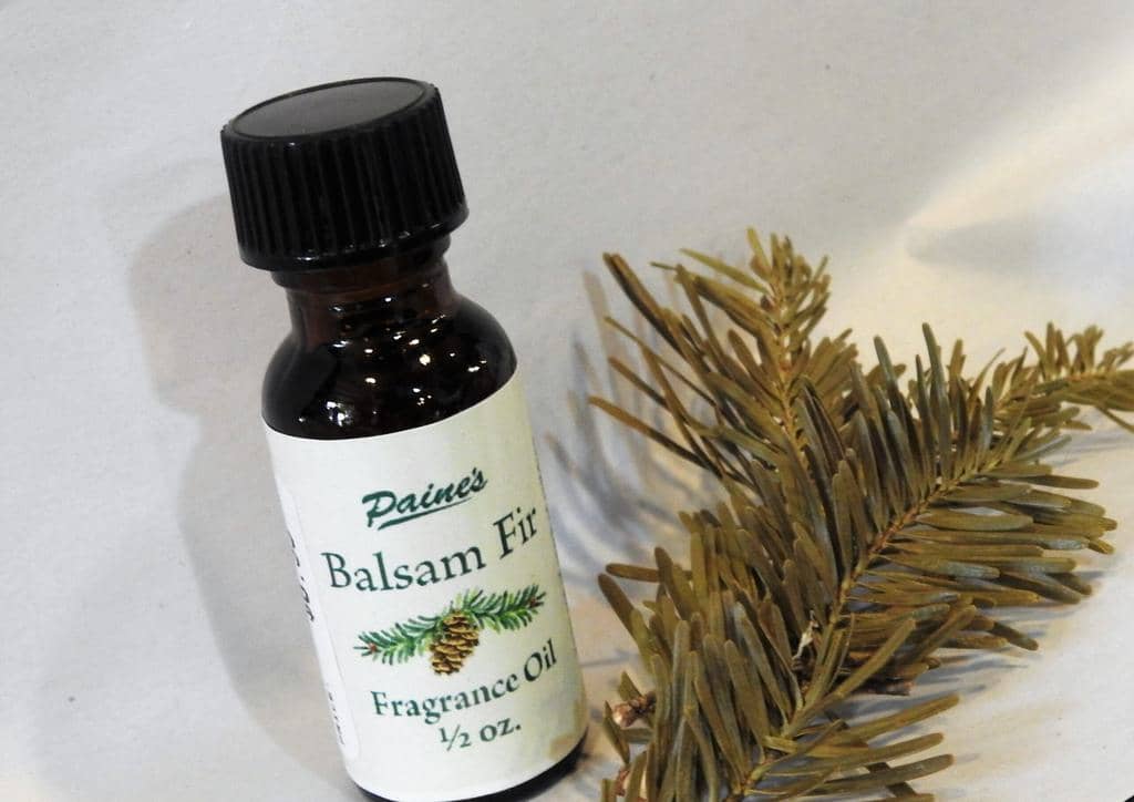 Balsam Fir Oil: How To Use It To Repel Mice