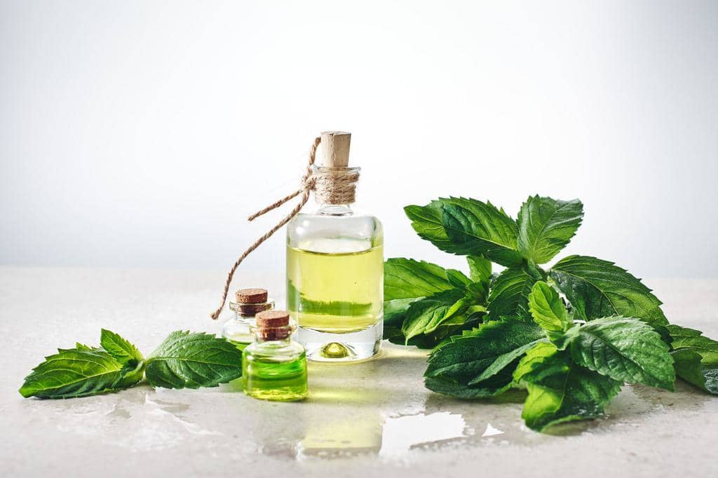 Peppermint Oil: Why It Works To Repel Rats (And How To Use It)