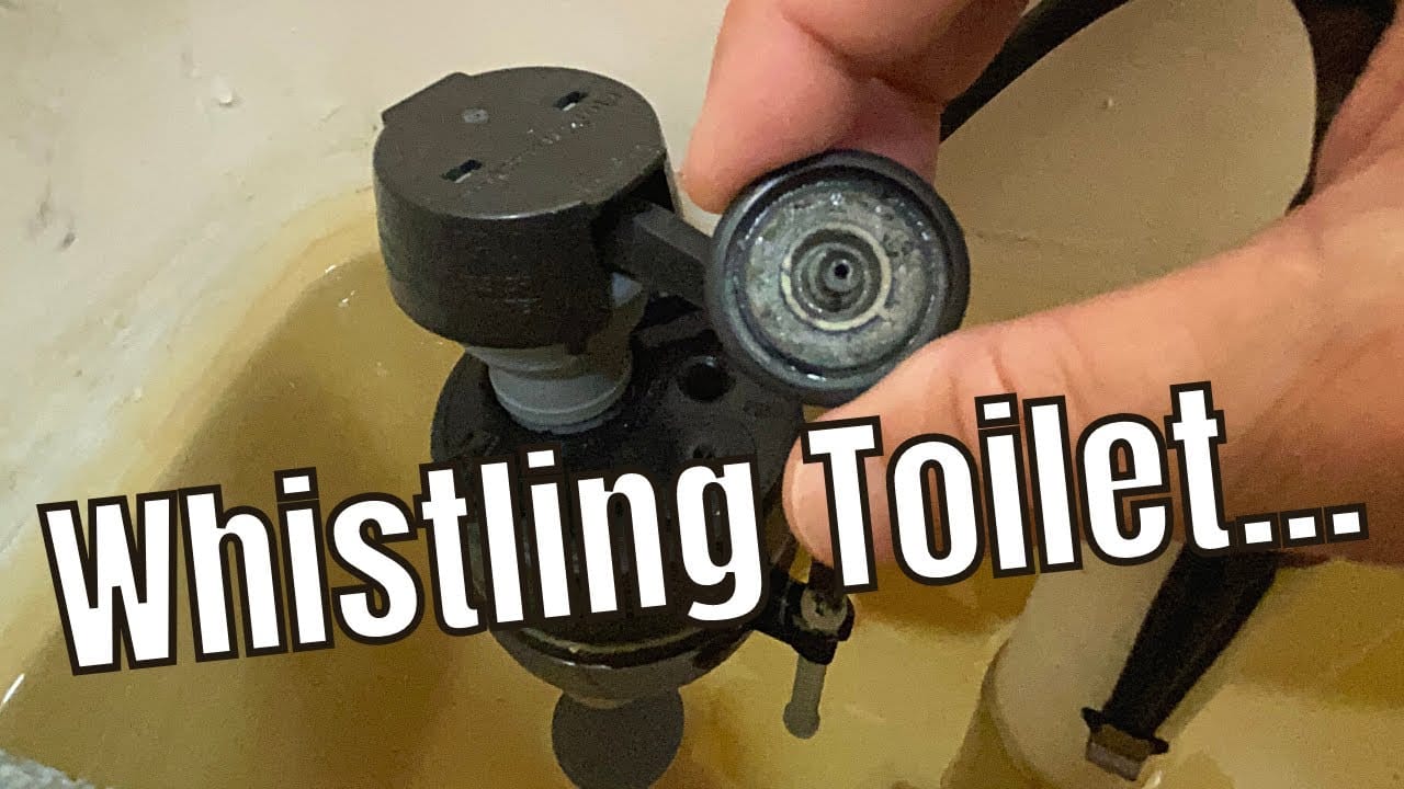 Toilet Whistles When Flushed: 5 Easy Ways To Fix It Forever