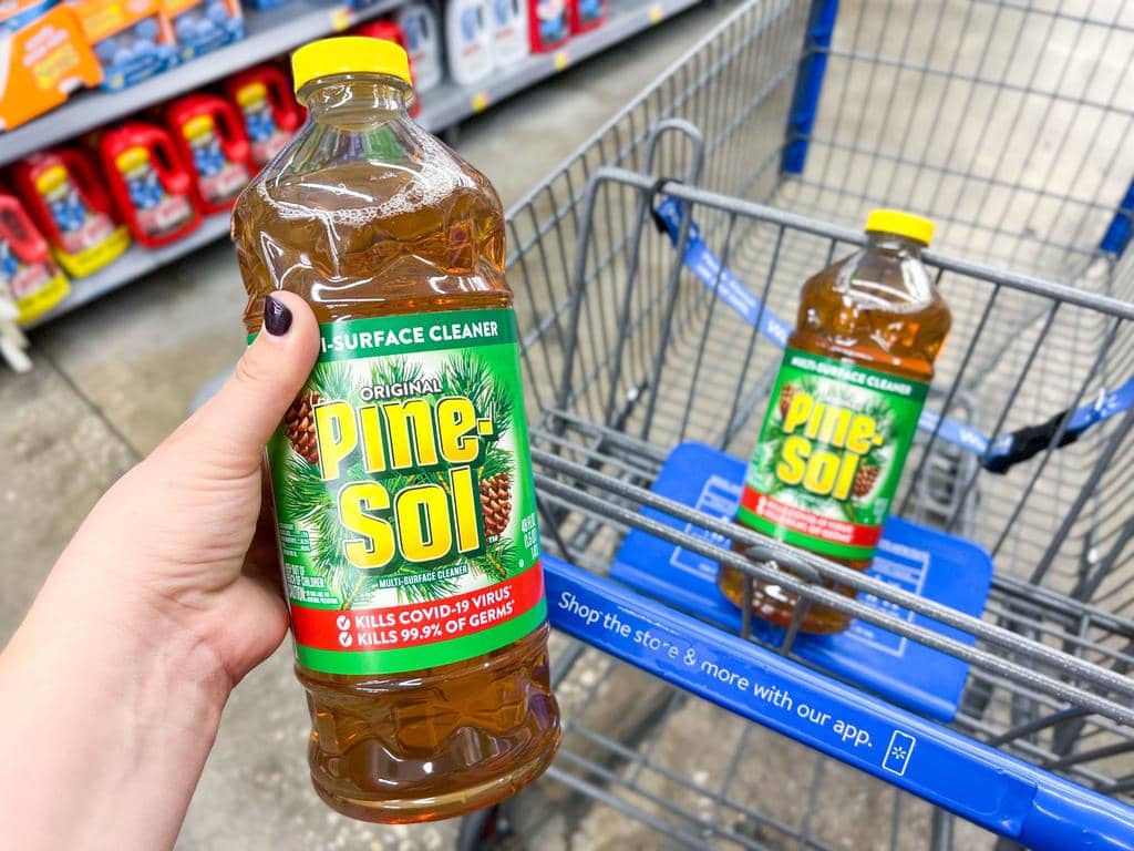 Using Pine Sol To Keep Mice Away (Find out How)