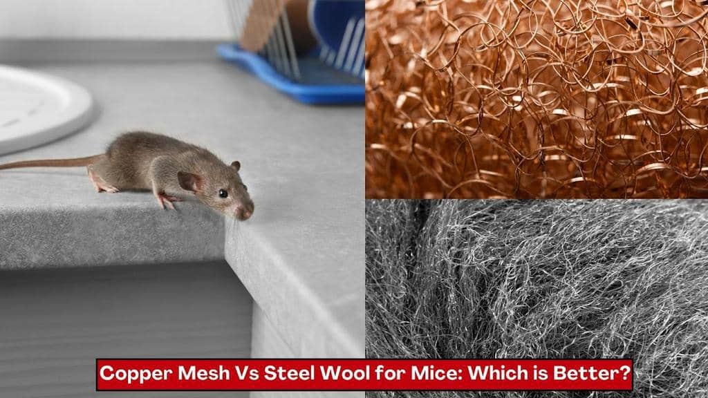 How To Use Copper Mesh To Keep Mice Out (And Why It Works!)