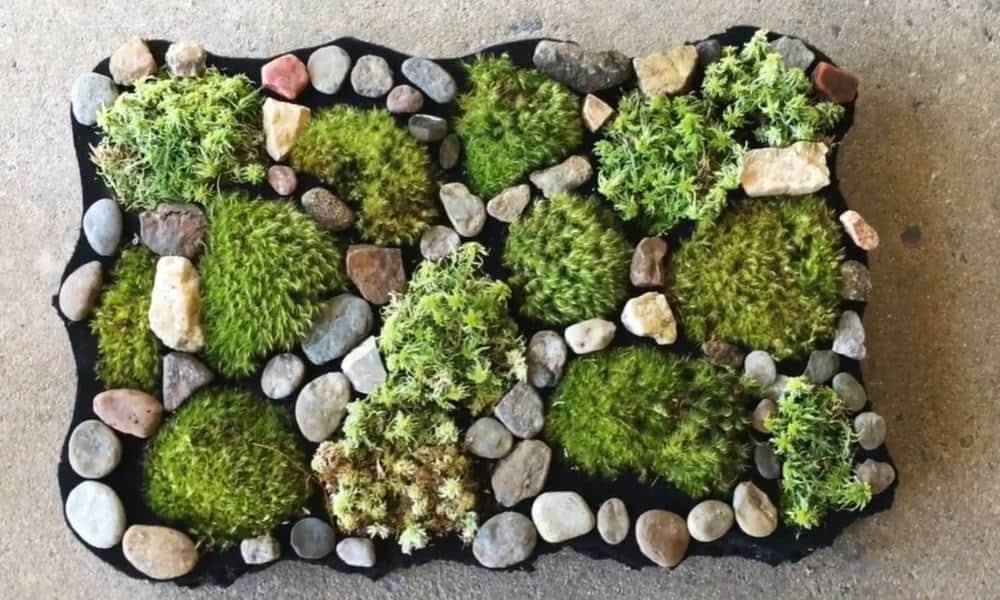 7 Most Common Moss Bath Mat Problems & Solutions