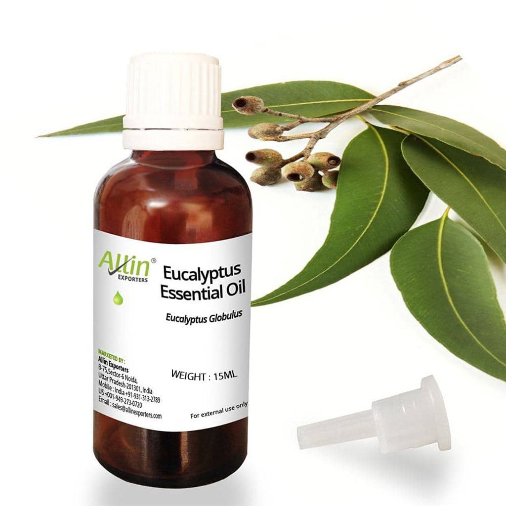Using Eucalyptus Oil In RVs/Campers To Repel Mice