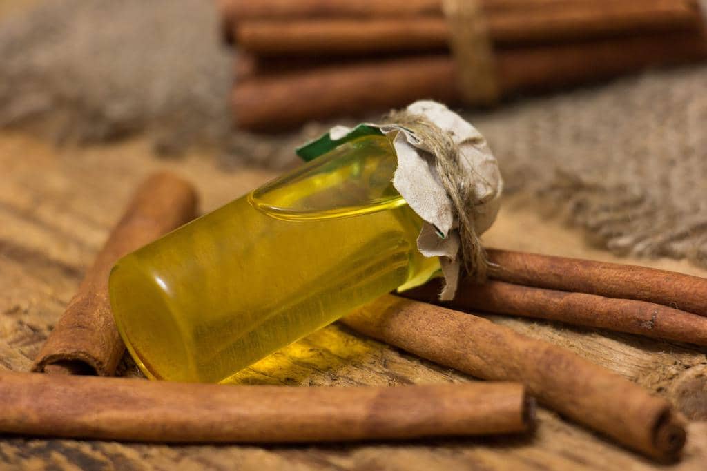 Using Cinnamon Oil To Repel Mice From Your Garage