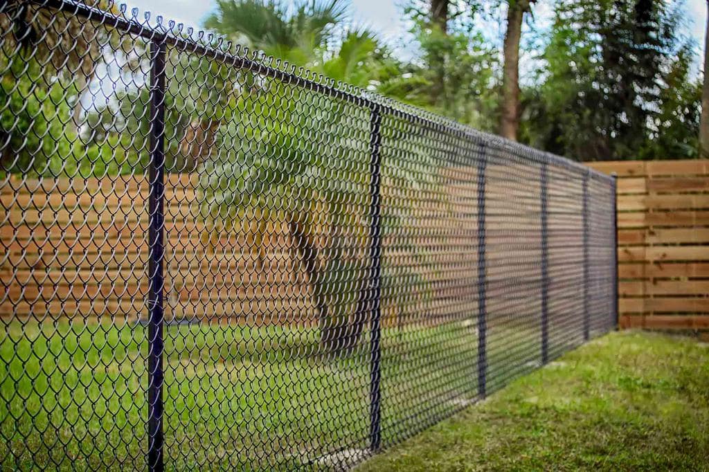 Building The Best Coyote Proof Fence In 4 Simple Steps